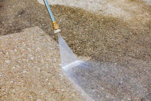 Animal Enclosure Cleaning in Brewster, OH